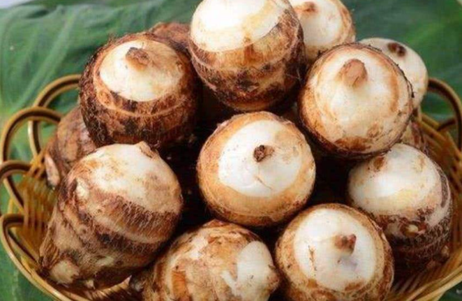 芋头是“天然胰岛素”？经常吃芋头，有助降血糖？
