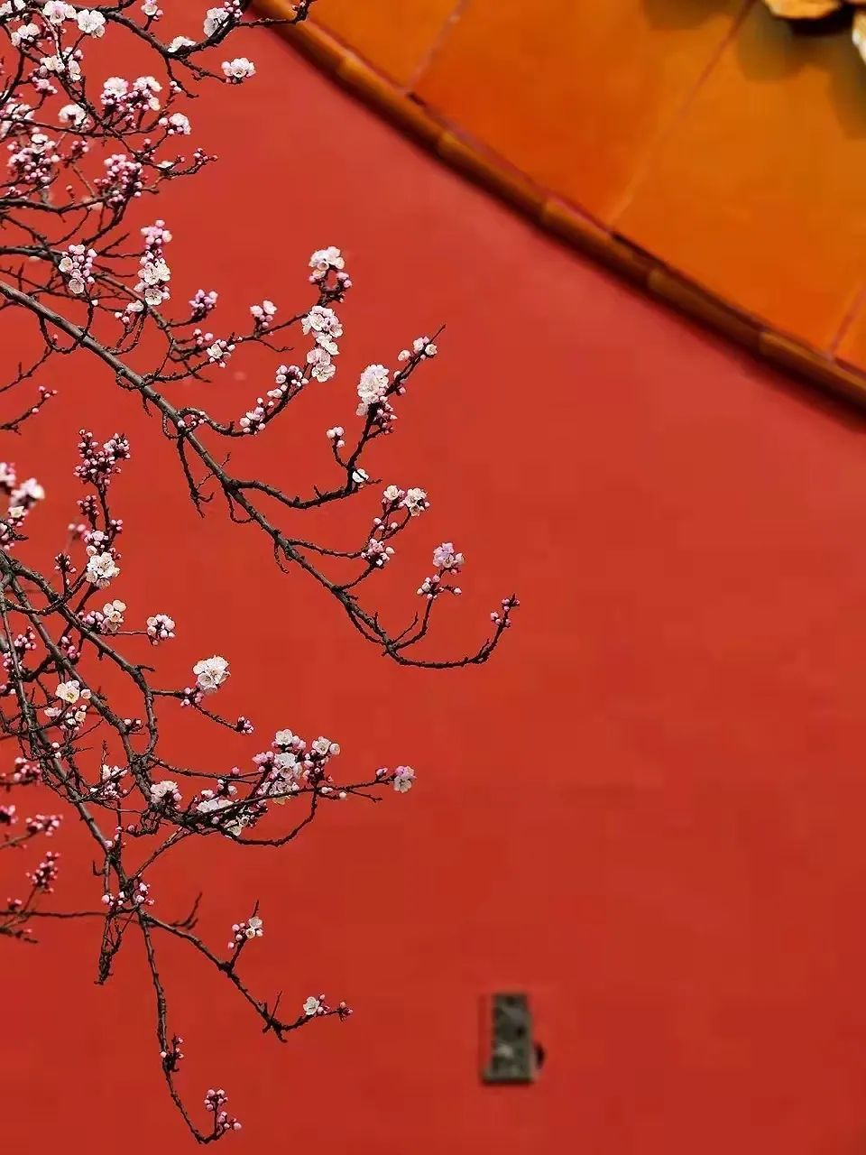 万灵设计创始人卫周敏：用独特的设计语言诉说东方之美