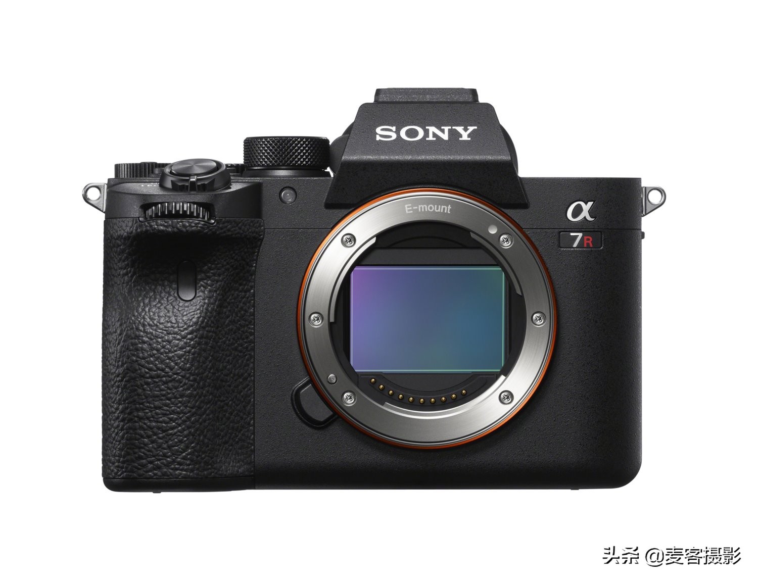 佳能 EOS R5 与索尼 a7R IV：你应该买哪款相机？