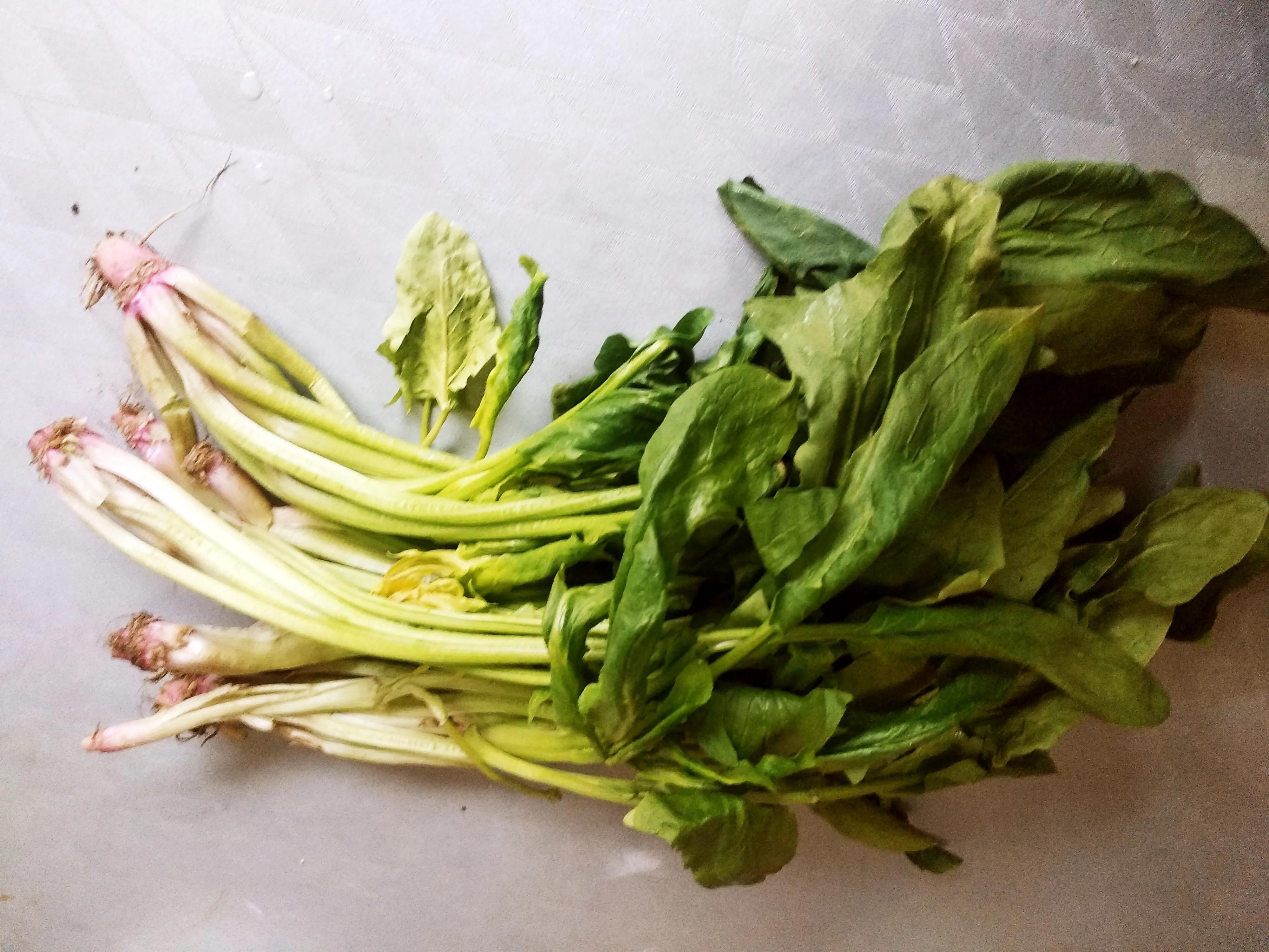 春天的菠菜堪称"营养模范生",春分过后菠菜开始长出长杆,这个长杆菠菜