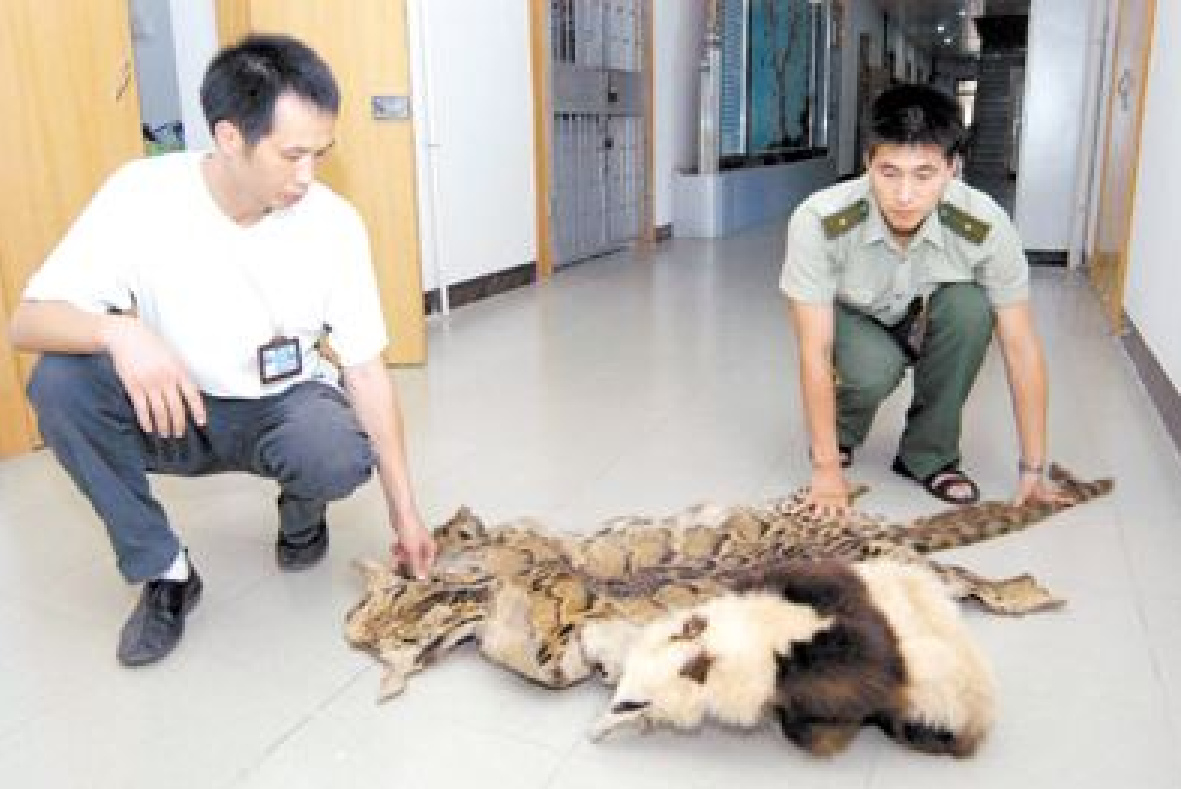 7年前，云南农民家中羊被咬死，兄弟俩怒杀大熊猫，下场如何？