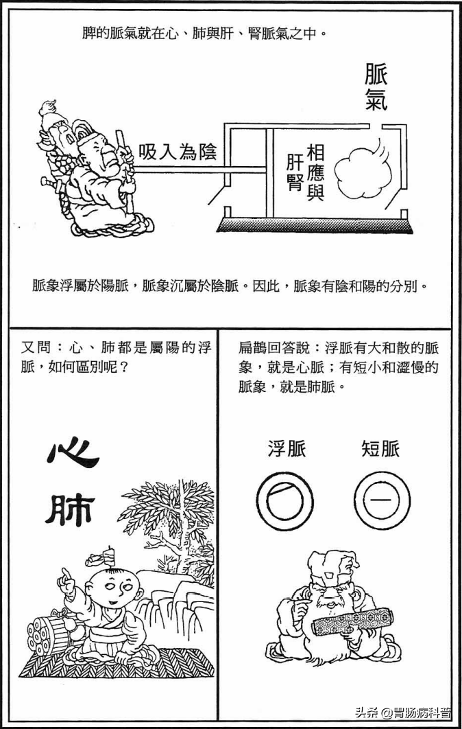 《漫画版八十一难经》第四难：脉象为什么有阴阳之分？