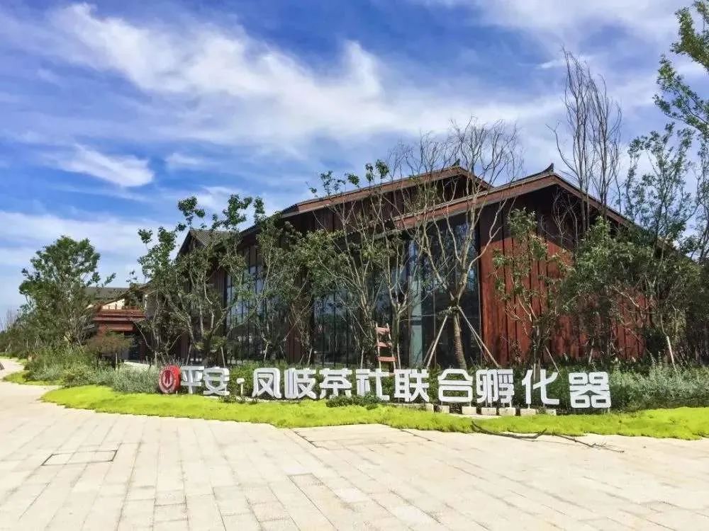 一年吸引12万大学生！这座小城是如何做到的？