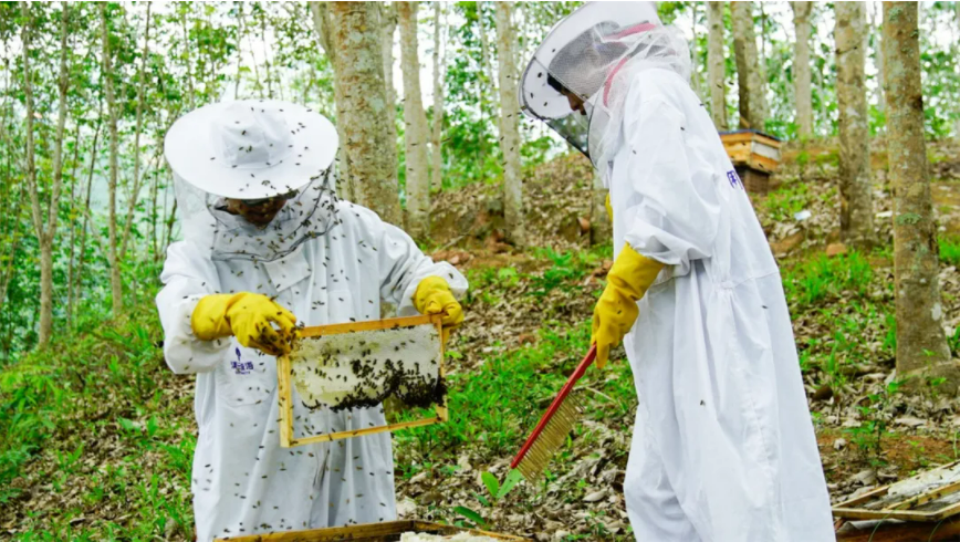 放弃落户上海、20万年薪，90后退伍军人回农村“养蜂”，获国家部委表彰！