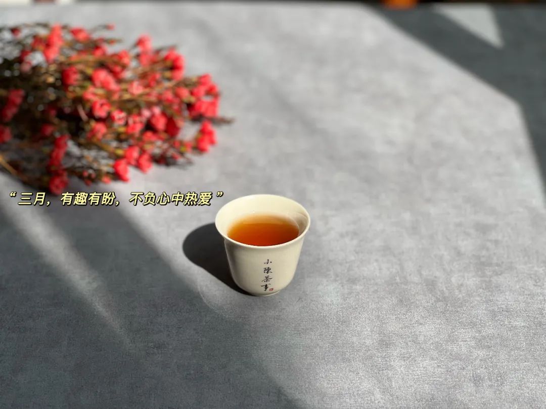 龙井茶属于(既然大红袍、铁观音都是乌龙茶，那么乌龙茶到底是红茶还是绿茶？)