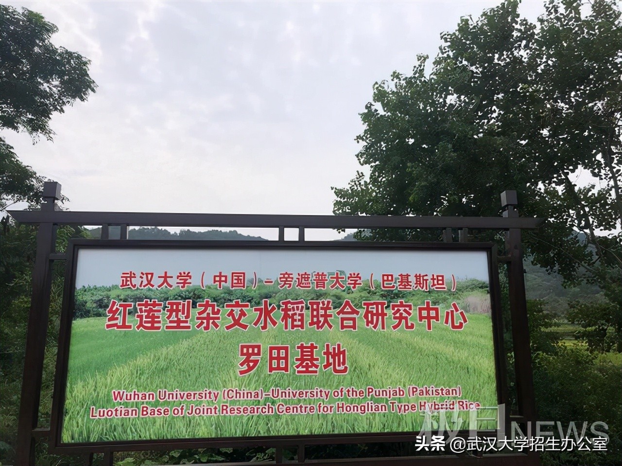 从农村娃到院士，他取得重大成果，获国家科技进步特等奖，总书记前来看望！