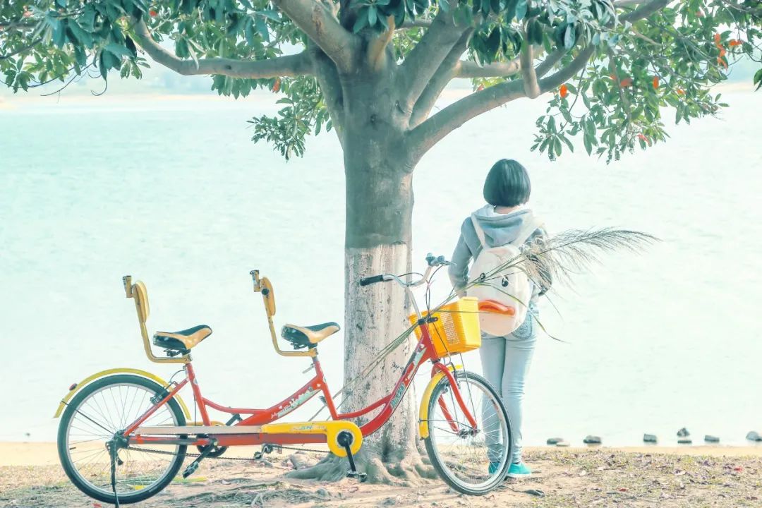 致十八岁的青春名句(30句十八岁青春年华的诗词)