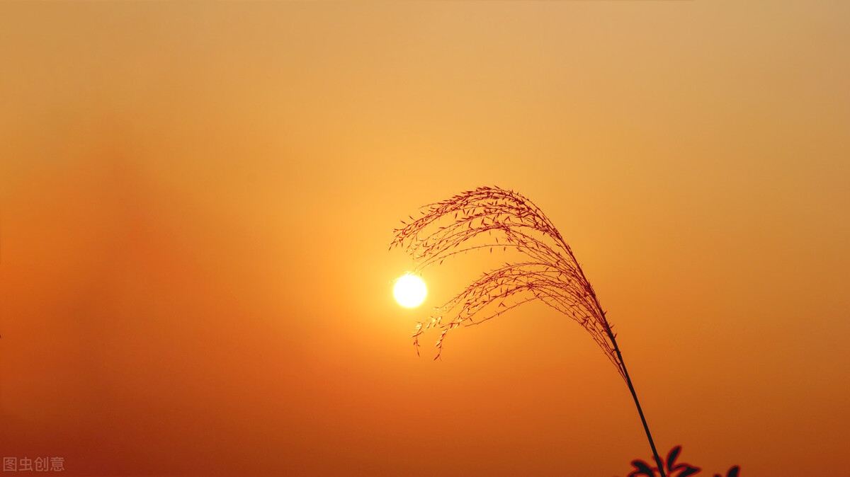 60张唯美惊艳夕阳图片。夕阳无限好，只为近黄昏