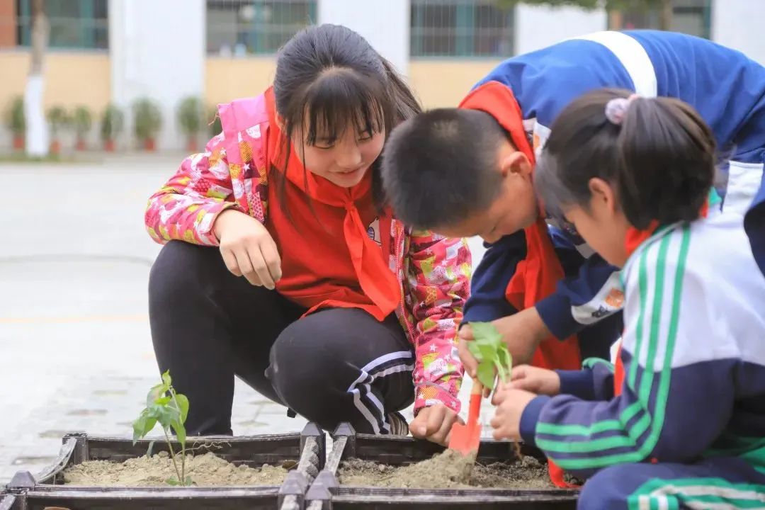 与你分享，我在四川天府新区南湖小学的精彩校园生活