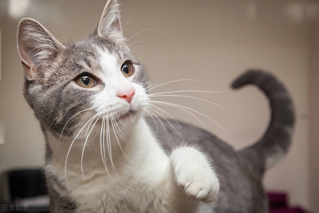 专考研的学校和要求（管理类考研的七大专业）