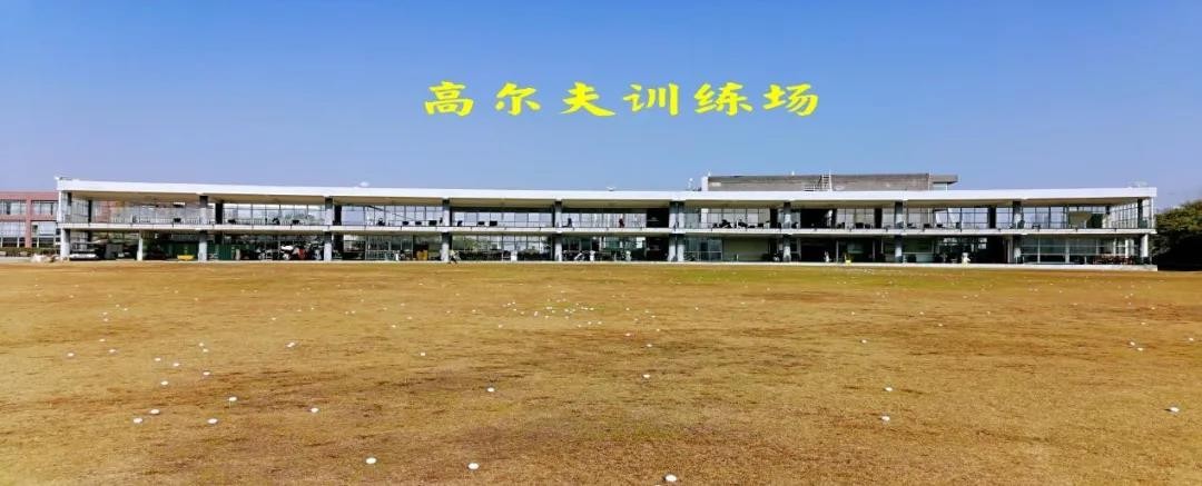 全职院士“坐镇”，成果打破国外垄断！湖北这所名校“霸气走红”