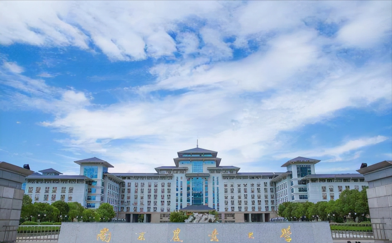 东南科技大学（网友）