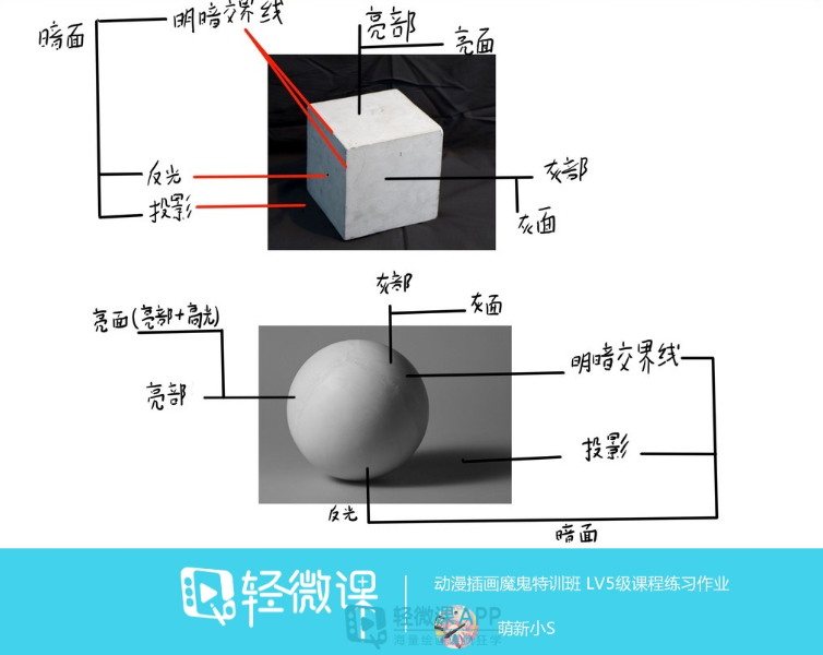 初学者应如何学素描？素描入门自学教程