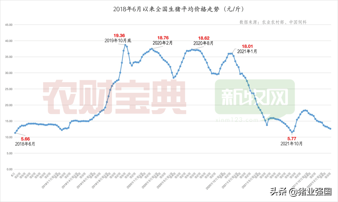 从18元暴跌到6元！连亏10个月后猪价迎来9连涨