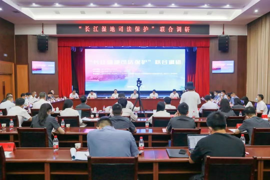 持续发力 久久为功 ——湖北法院广泛开展“6.5”环境日宣传活动