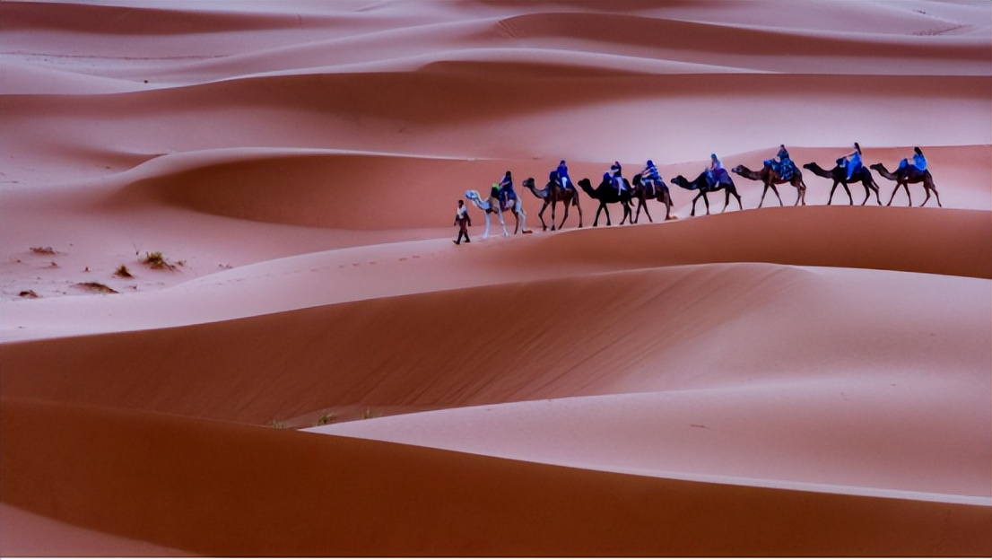 世界上最大的沙漠——撒哈拉沙漠