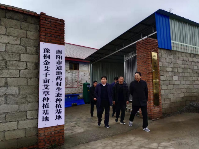 刘宏军县长莅临黄岗镇调研艾产业发展