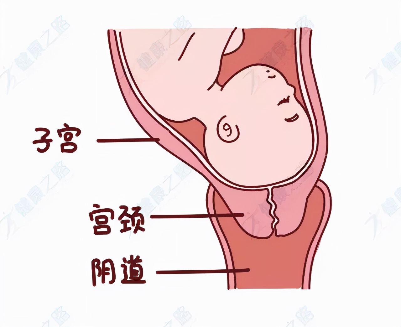 顺产“开十指”，真要把10个手指塞进去才能生吗？