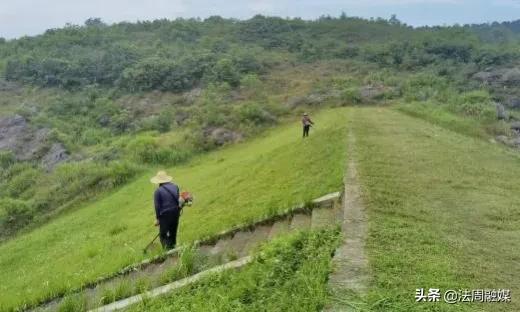 澧县王家厂镇开展水库堤防除草清杂行动