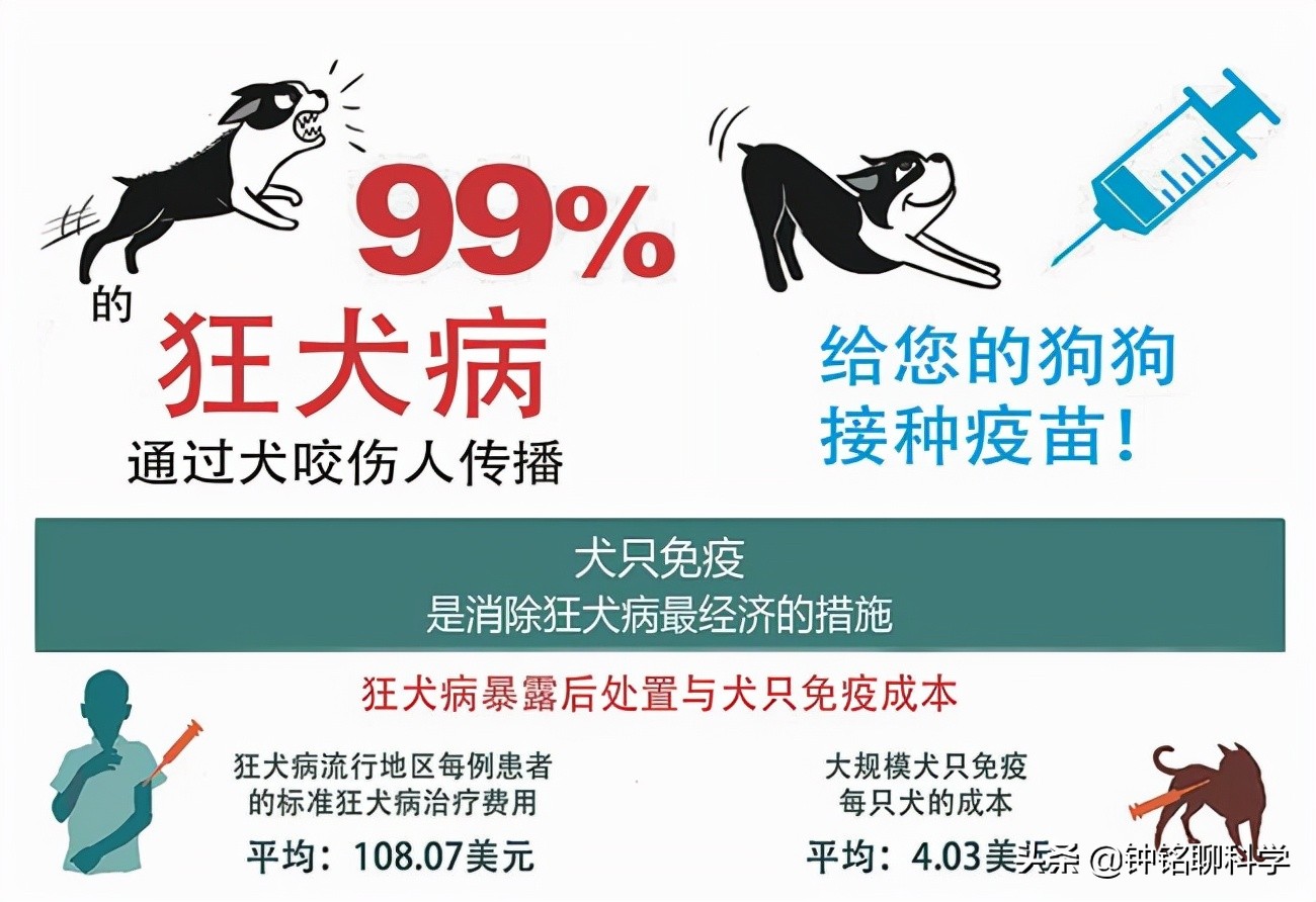 打了狂犬疫苗为何还会发病？第4针疫苗还差2天，男孩狂犬病发离世