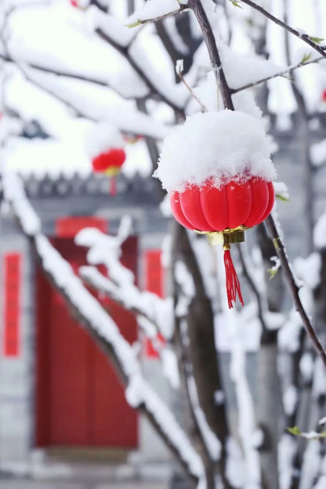 春雪一来，北京就更美了！