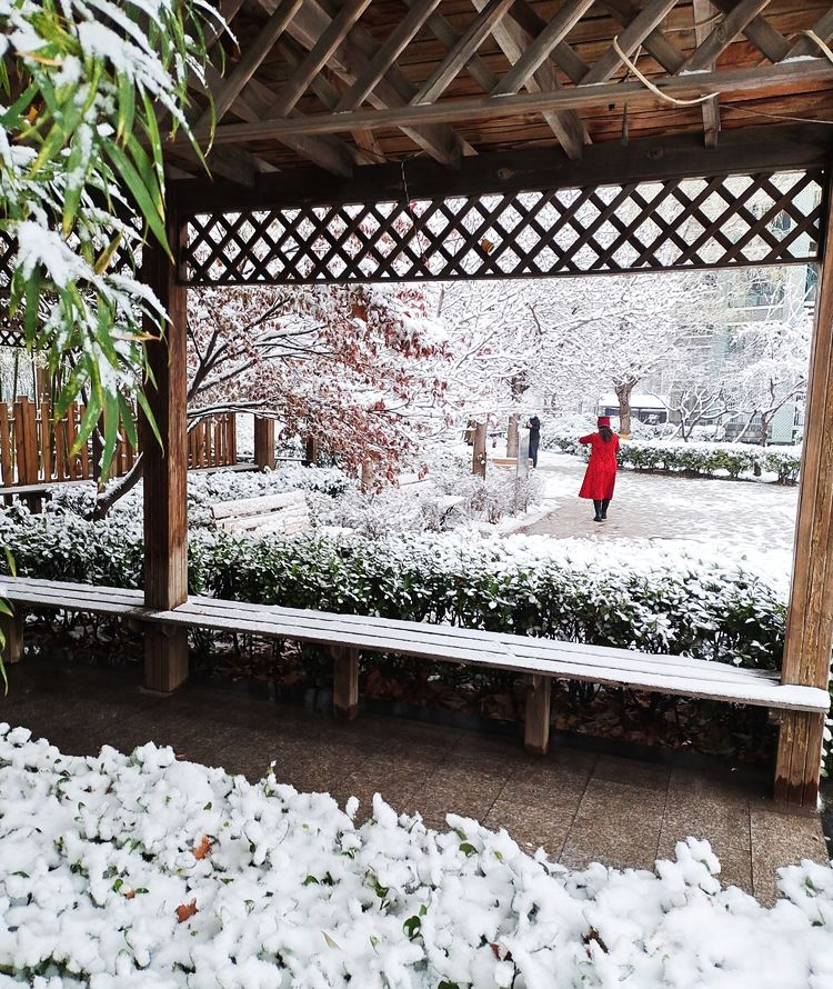 一场雪，让这里的春天真美 摄影/诗文：李武兵