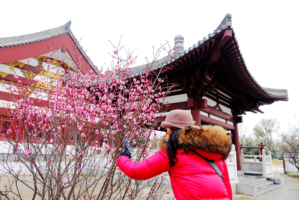 雪游九洲池