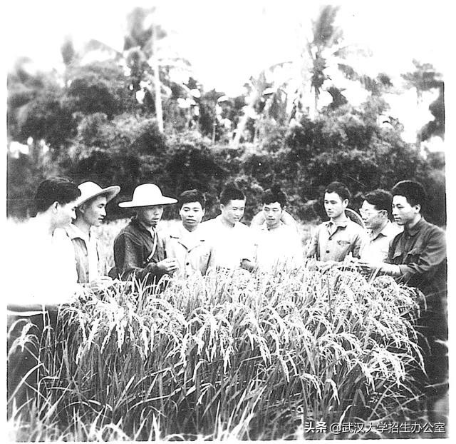 从农村娃到院士，他取得重大成果，获国家科技进步特等奖，总书记前来看望！