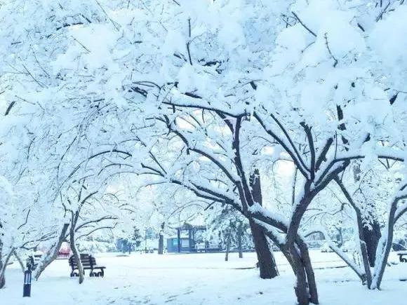 《沁园春·雪》：开头写宏伟壮阔的雪景，结尾抒改变世界的壮志