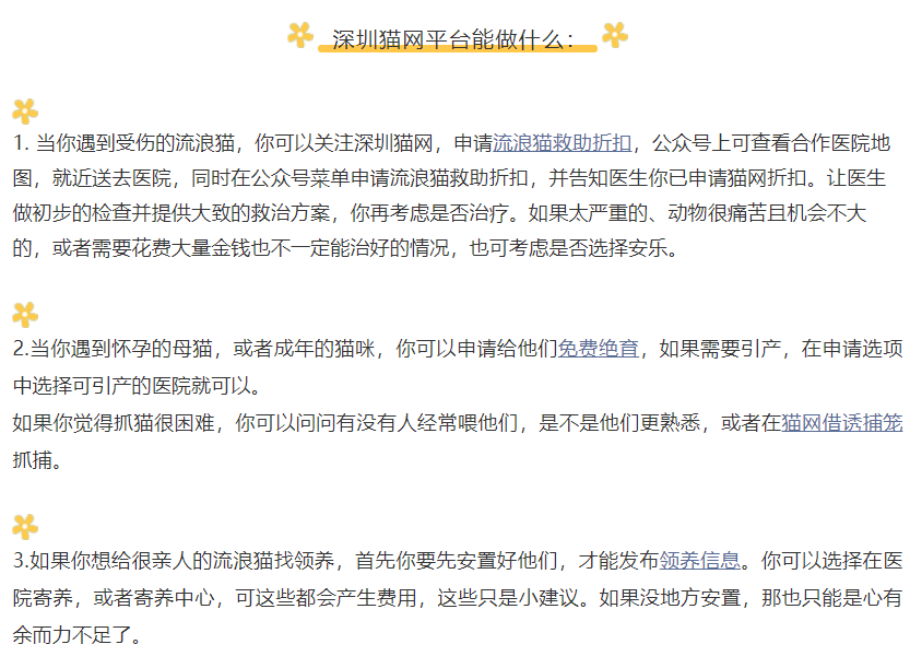 网络博主11年间救助近2000只流浪猫，网友“云救助”