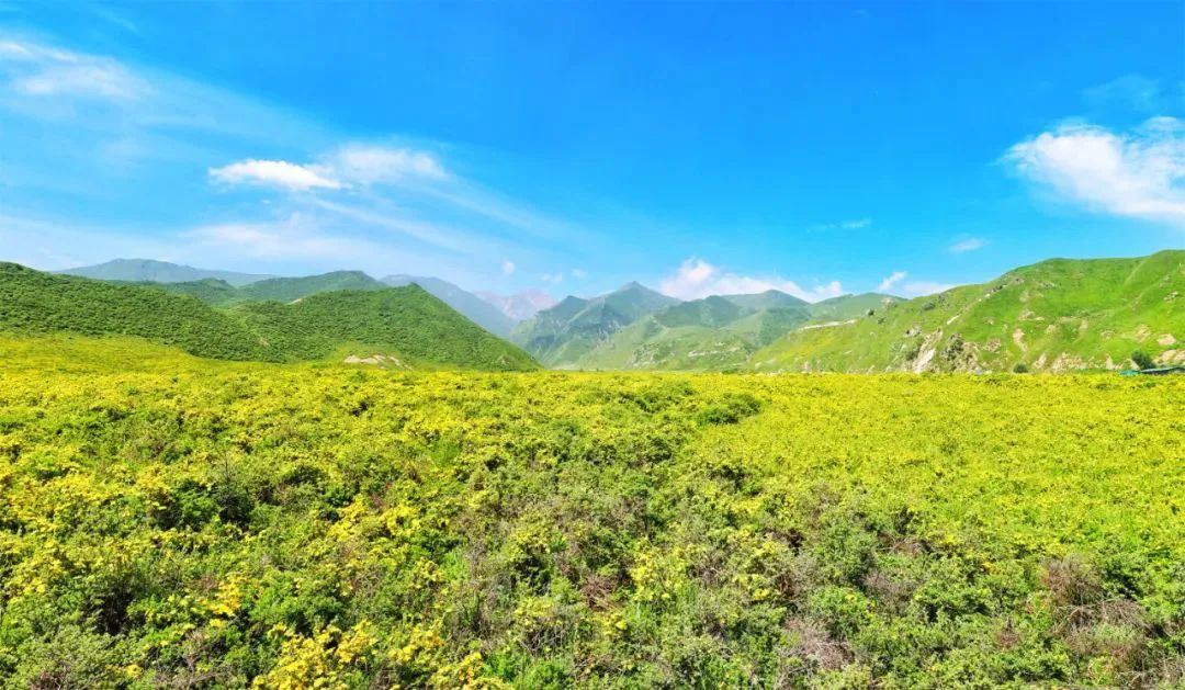“五一”自驾出游 | 不远行，不聚集，这三条宝藏游玩线路走起！