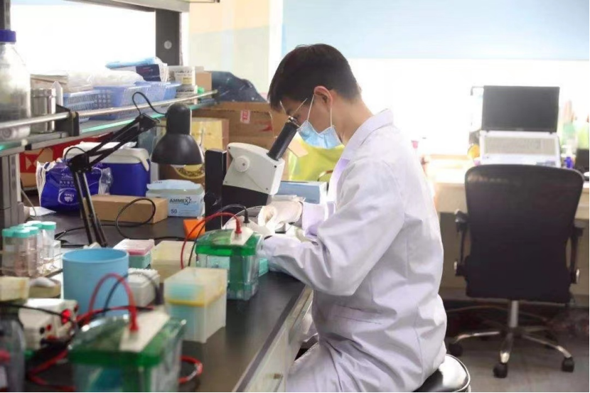 医学院“新四大天王”出炉，协和湘雅齐鲁华西，四足鼎立格局打破