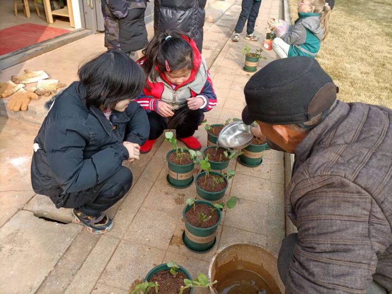 湘潭市社会福利院开展“快乐盆栽，放飞希望”盆栽种植活动