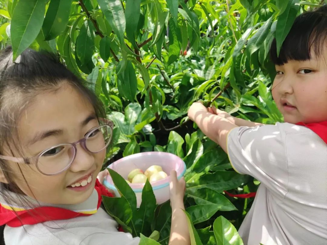 快乐劳动 幸福童年｜记双流区实验小学外国语学校劳动系列课程
