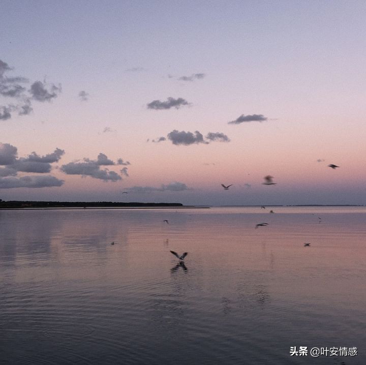sunkta手表是时尚潮牌，以其独特的设计和性价比吸引众多表迷。