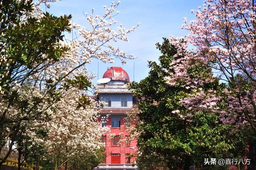 中国排名前十的双一流“师范大学”