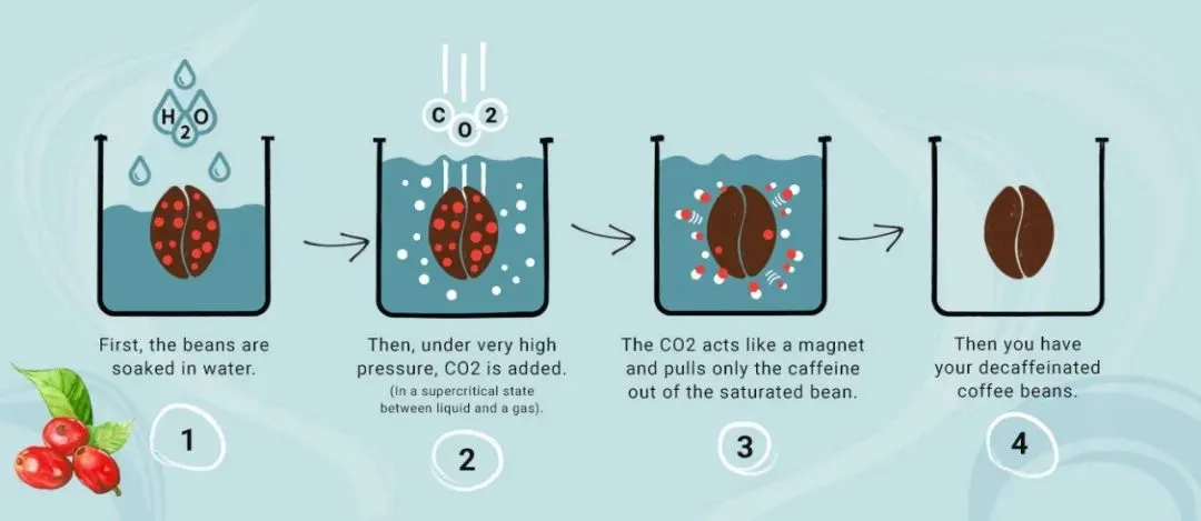一枚薯条的猜想：超临界CO2准备掀翻传统冷链？| 技术前沿