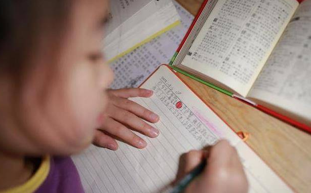 小学生写“人生规划”，把未来道路安排得很明白，计划32岁得诺奖