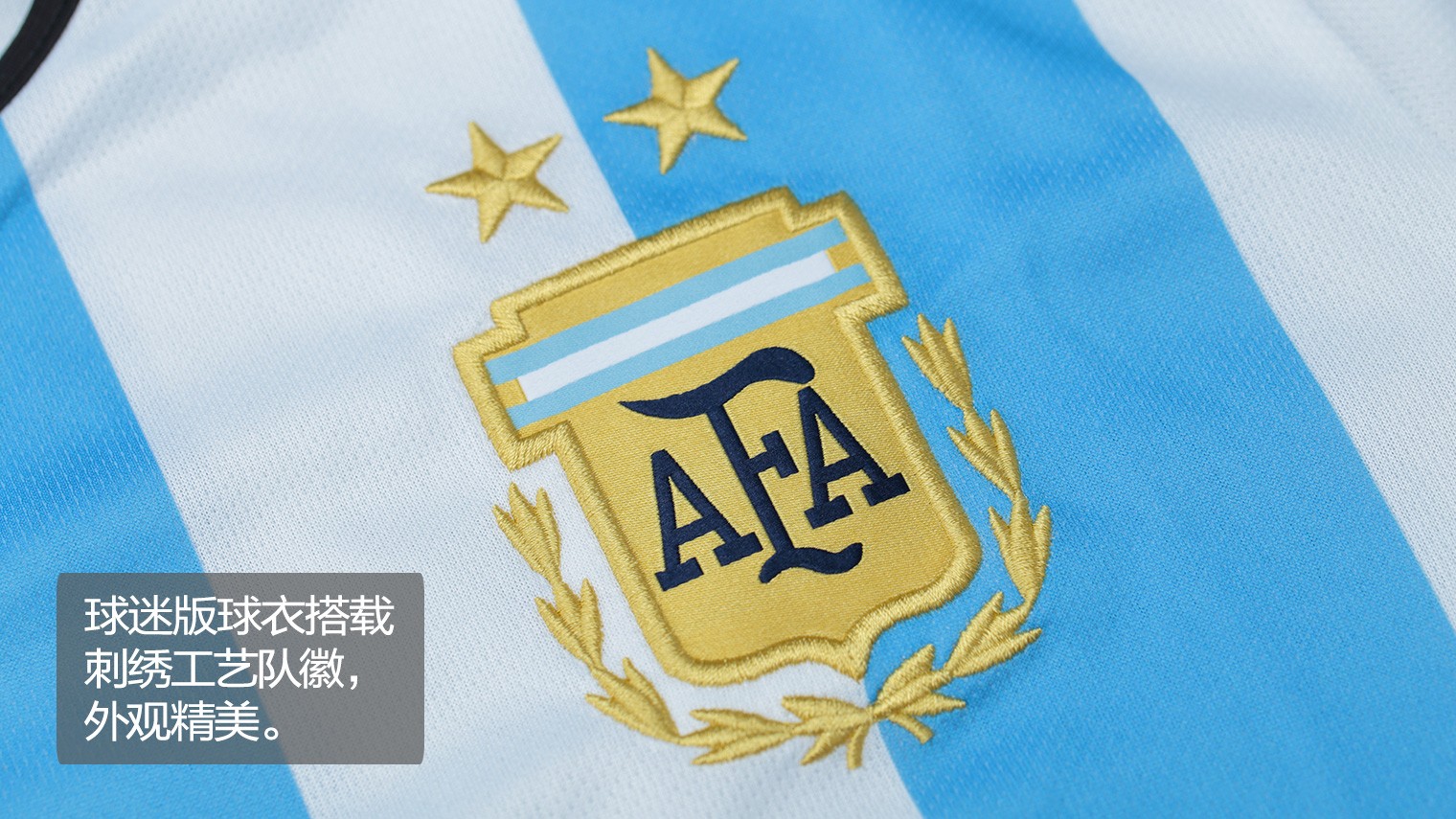 阿根廷队徽壁纸图片