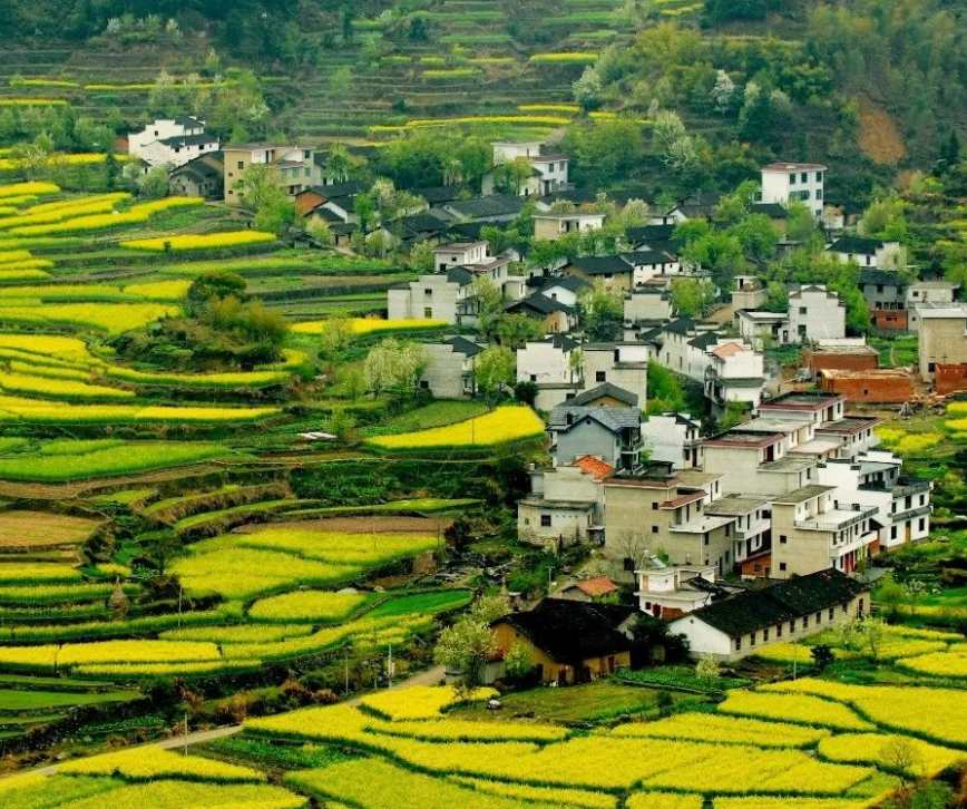 43斤女大学生，为救弟弟吃多年辣椒拌饭，去世前得知男友癌症病逝