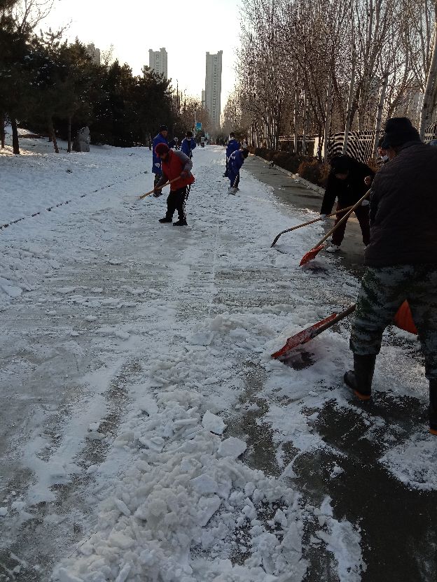 致敬除雪先锋：平凡身影，守护城市温暖出行