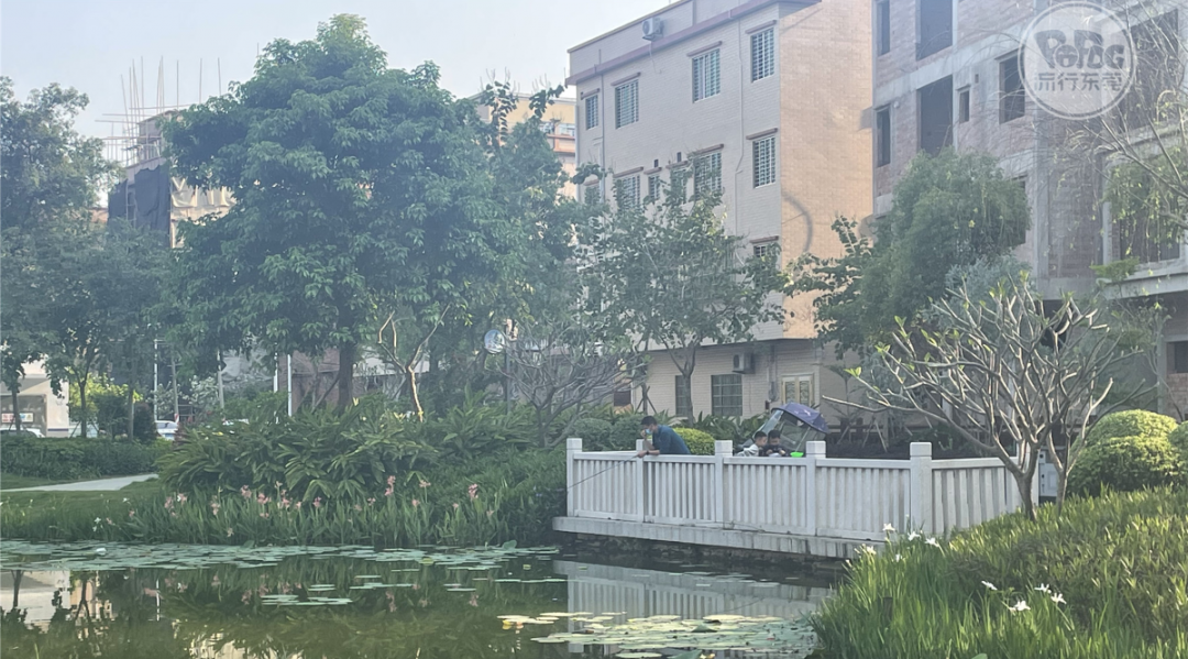 解封后的潢涌，除了“有钱”，还有什么？