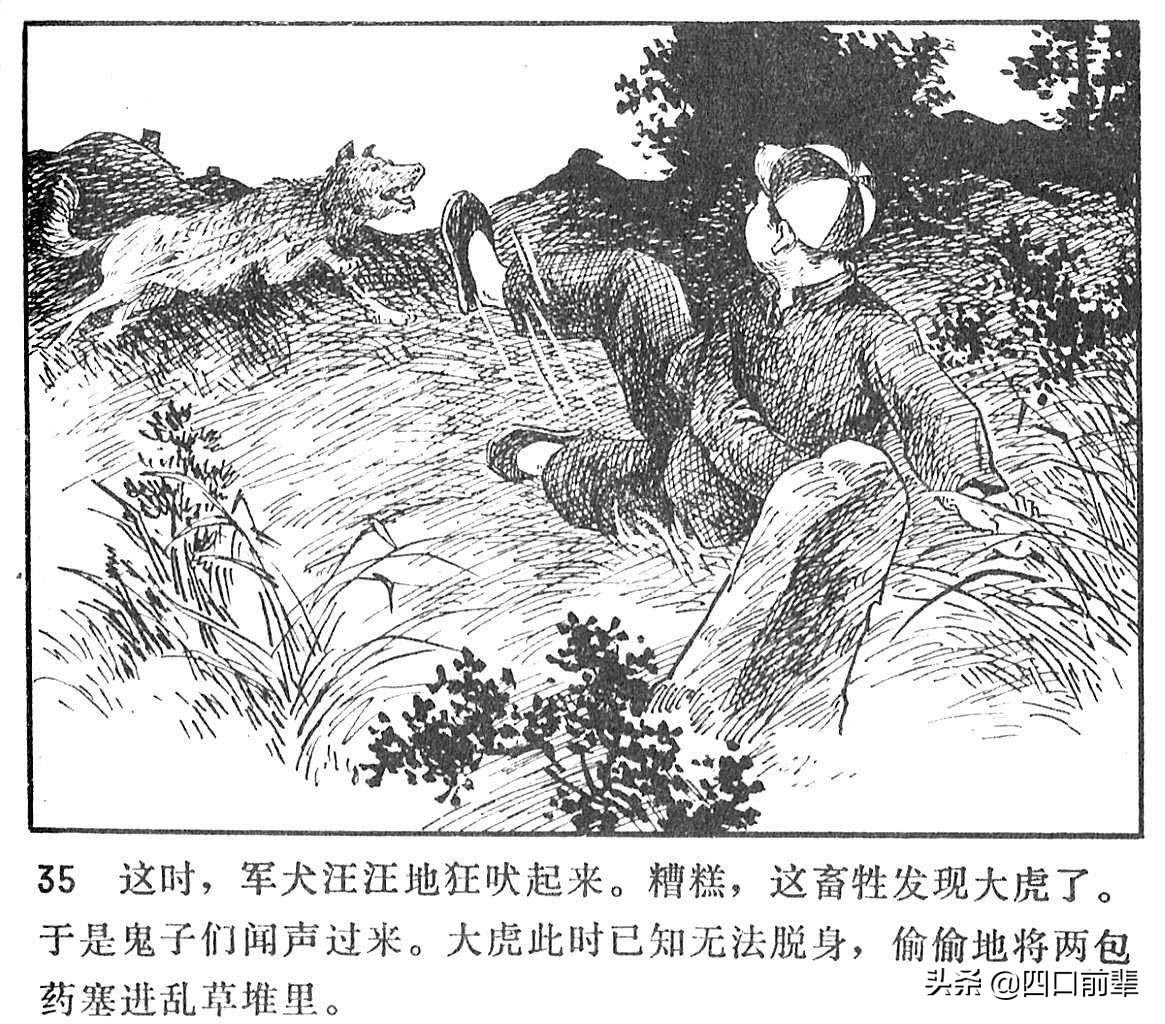 大虎和二虎 天津人民美术出版社 四口前辈 连环画 80后的回忆
