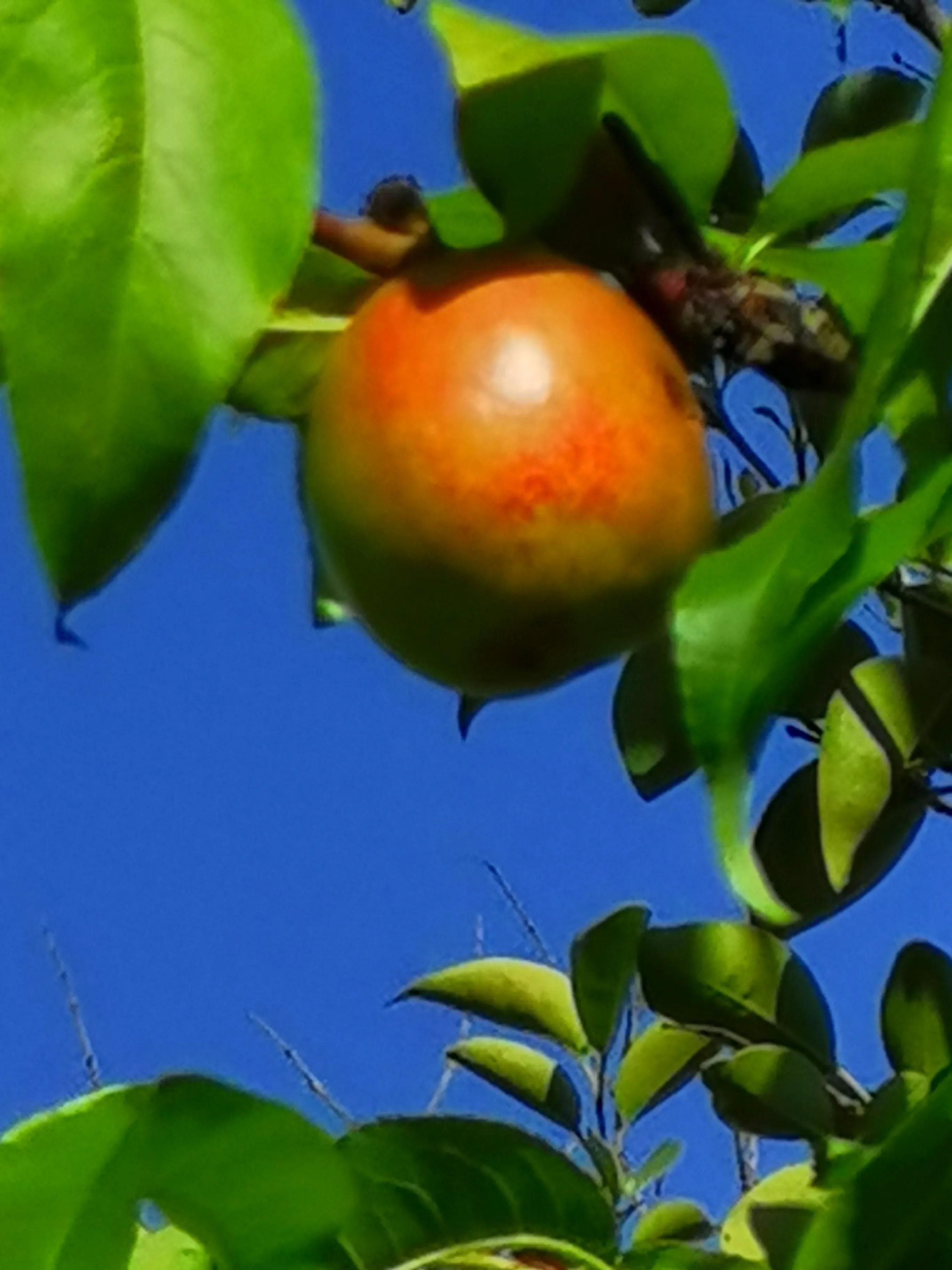 起诉状等法律文书小大全