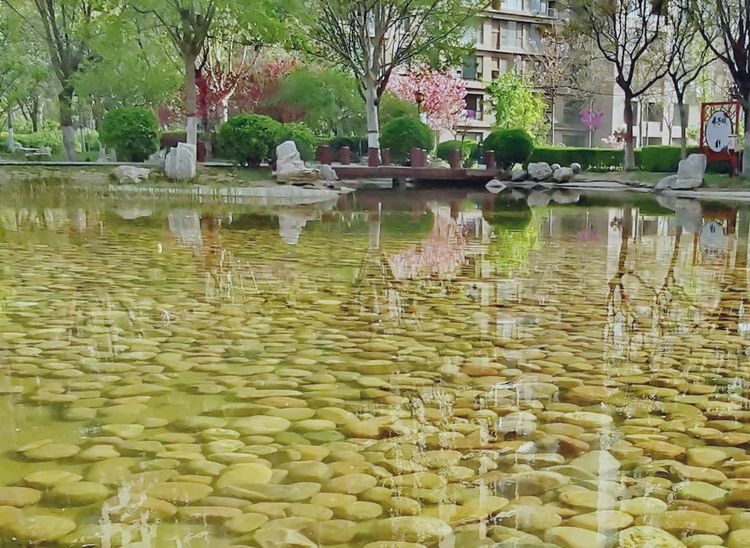 兵哥三人行：鹧鸪天.海德园觅春 摄影刘继章 诗文赵富山 书法翟凤肖
