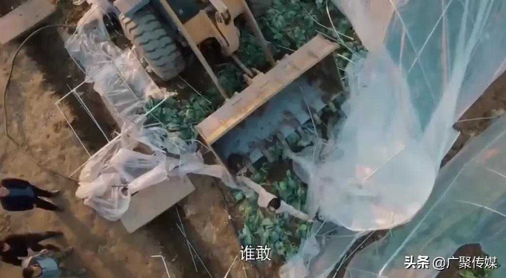 电视剧《幸福到万家》：万传家未经允许就把幸福家大棚给强拆了