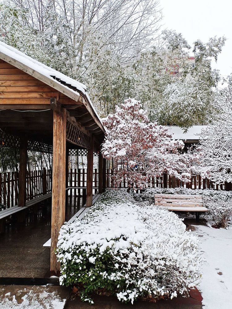 一场雪，让这里的春天真美 摄影/诗文：李武兵