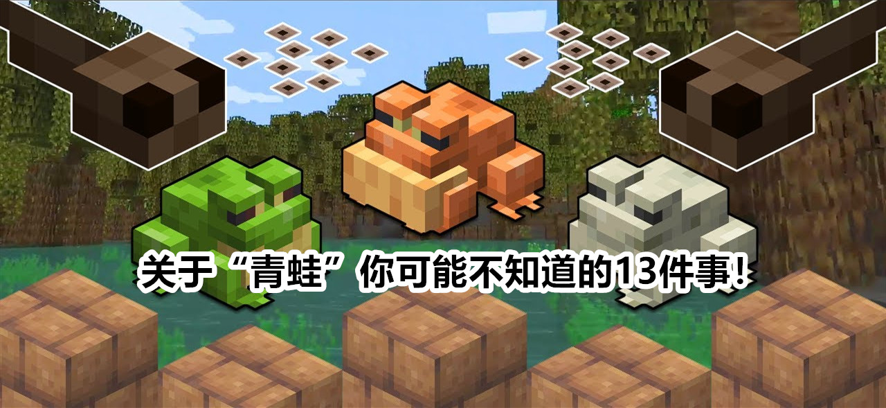田雞是青蛙嗎,田雞是青蛙嗎?田雞和青蛙有什么區別?