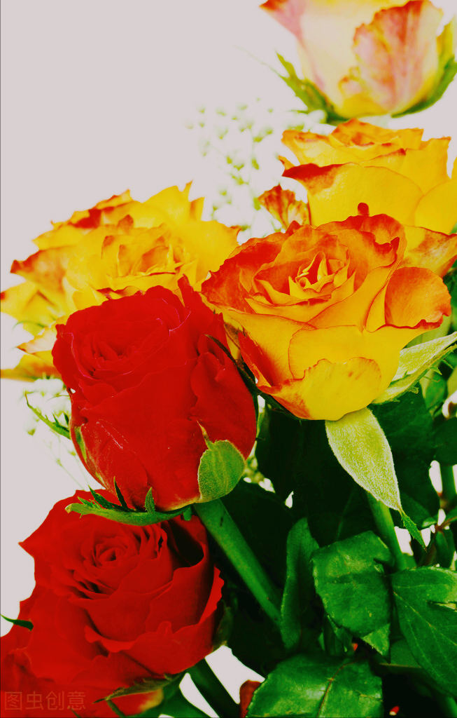 一花一深愛 萬花叢中春光美 千姿百态歲月好 綠碼奔騰伴平安 天天看點