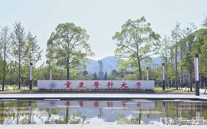 2022年高考：重庆19所学校新增50个专业，6所学校撤销10个专业